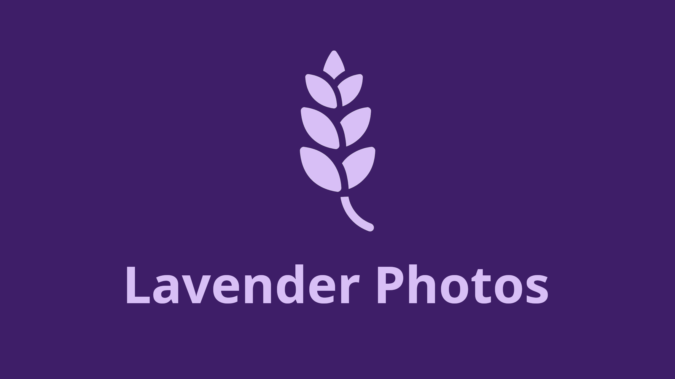 مراجعة Lavender Photos: تطبيق معرض مفتوح المصدر لأندرويد