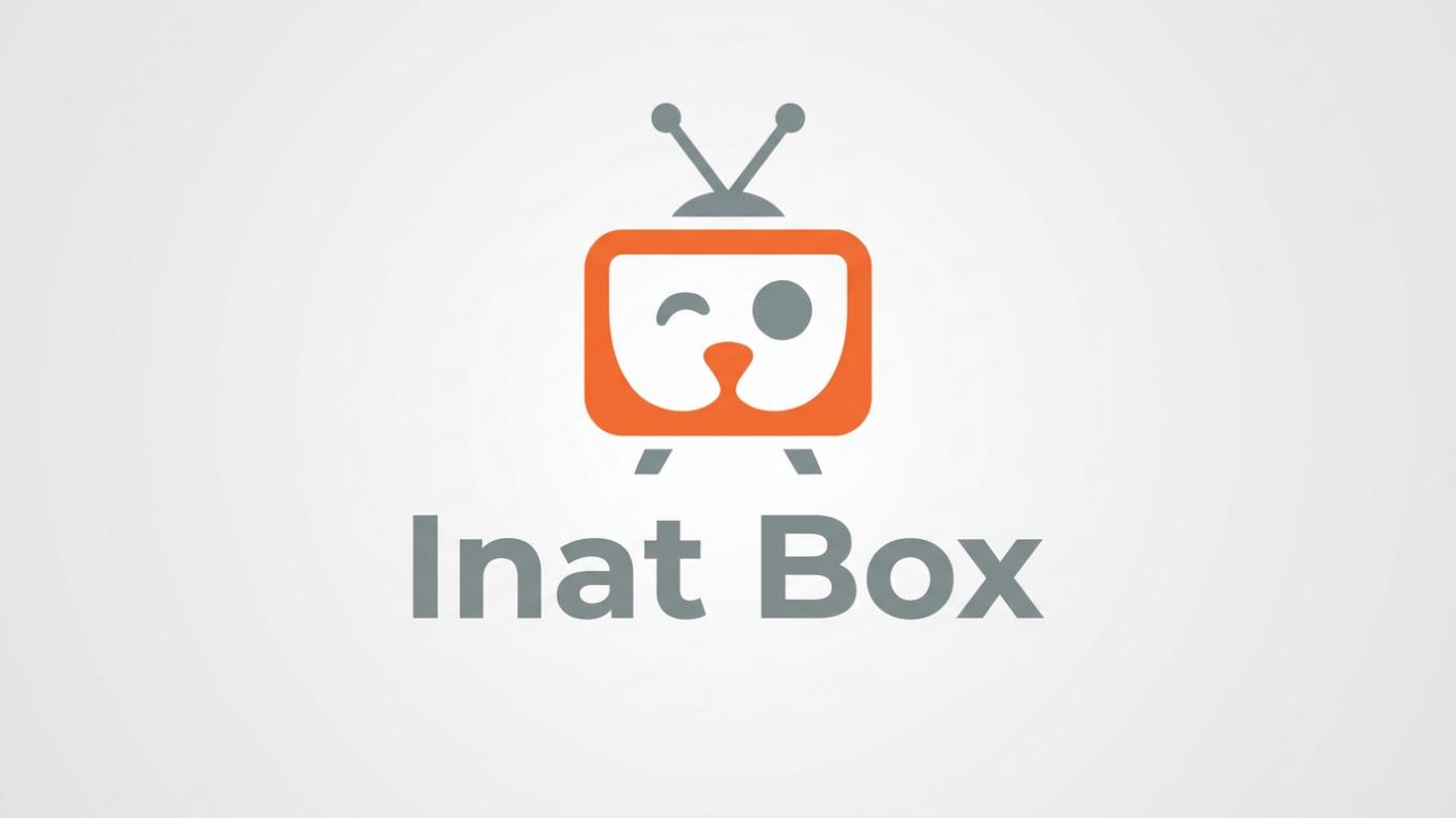 İnat Box APK 2026 indir: Android kurulum ve güvenlik rehberi